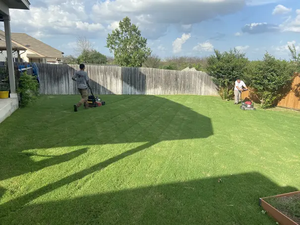 IMG 2341 ezgif.com resize