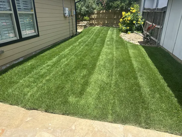 IMG 3682 ezgif.com resize