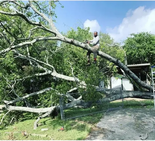 unnamed ezgif.com resize